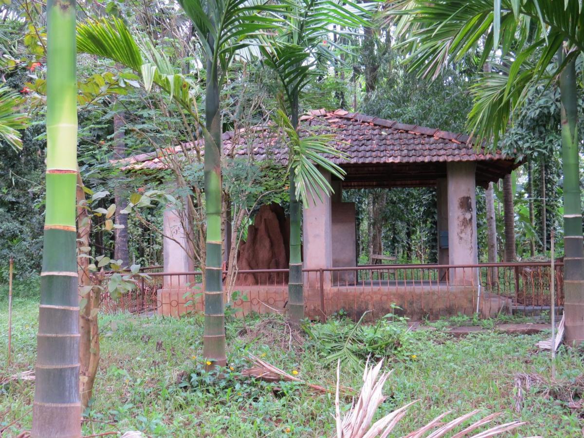 סאגר Sugamya Farm Guesthouse מראה חיצוני תמונה