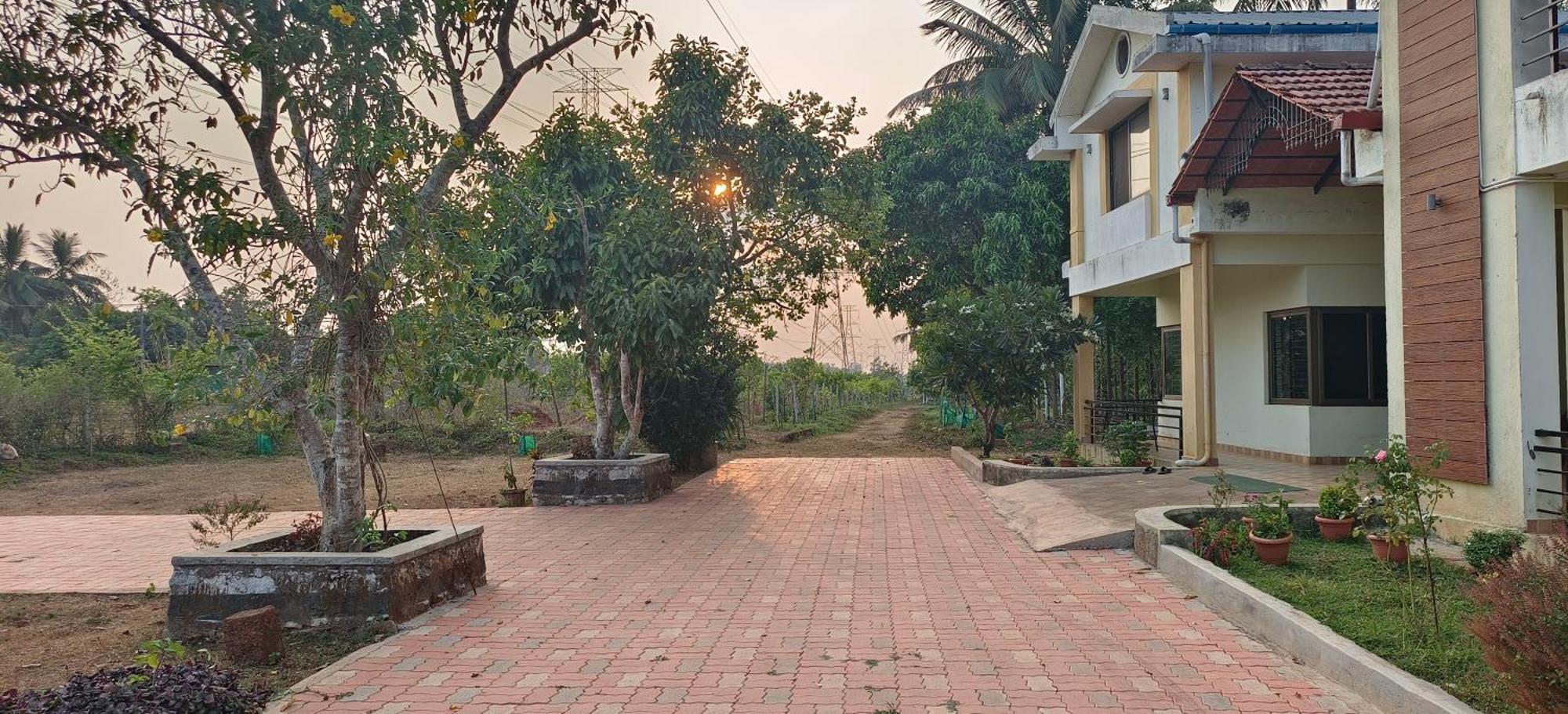 סאגר Sugamya Farm Guesthouse מראה חיצוני תמונה
