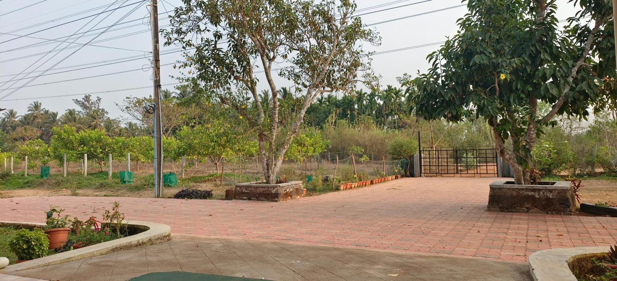 סאגר Sugamya Farm Guesthouse מראה חיצוני תמונה